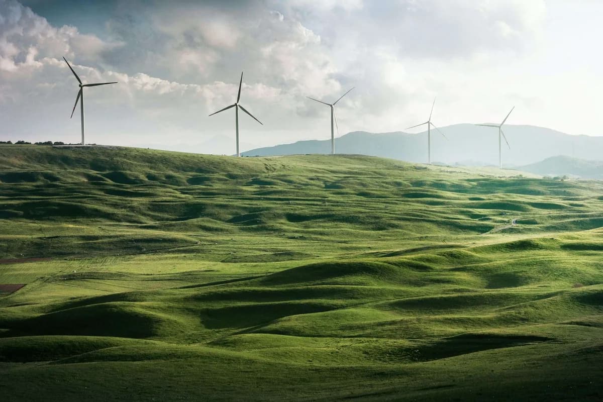ESG and Sustainability: What's the Difference, Why Does it Matter (and How to Invest)?